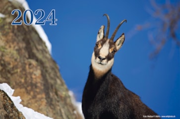Kalender 2024